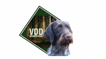 VDD e.V. Gruppe Uelzen Logo