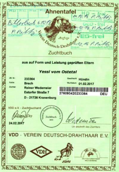 Pedigree of Yessi vom Ostetal